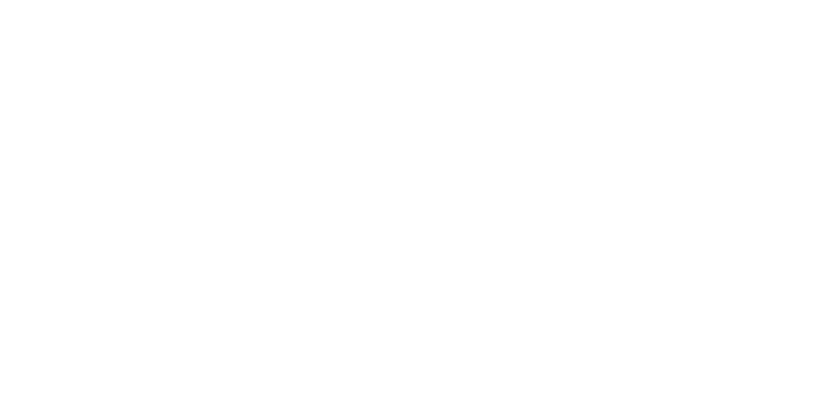 STAHLWILLE